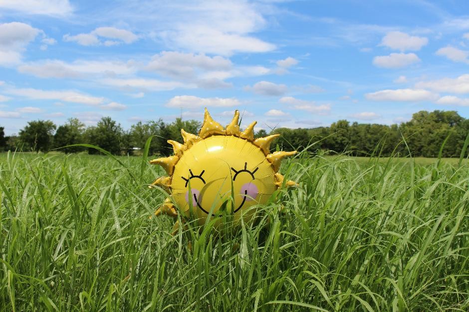 sunscreen